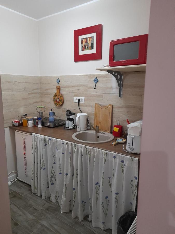Skyline Central Apartment Тимишоара Екстериор снимка