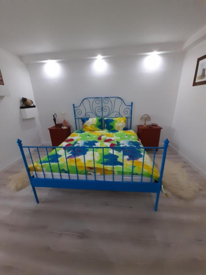Skyline Central Apartment Тимишоара Екстериор снимка