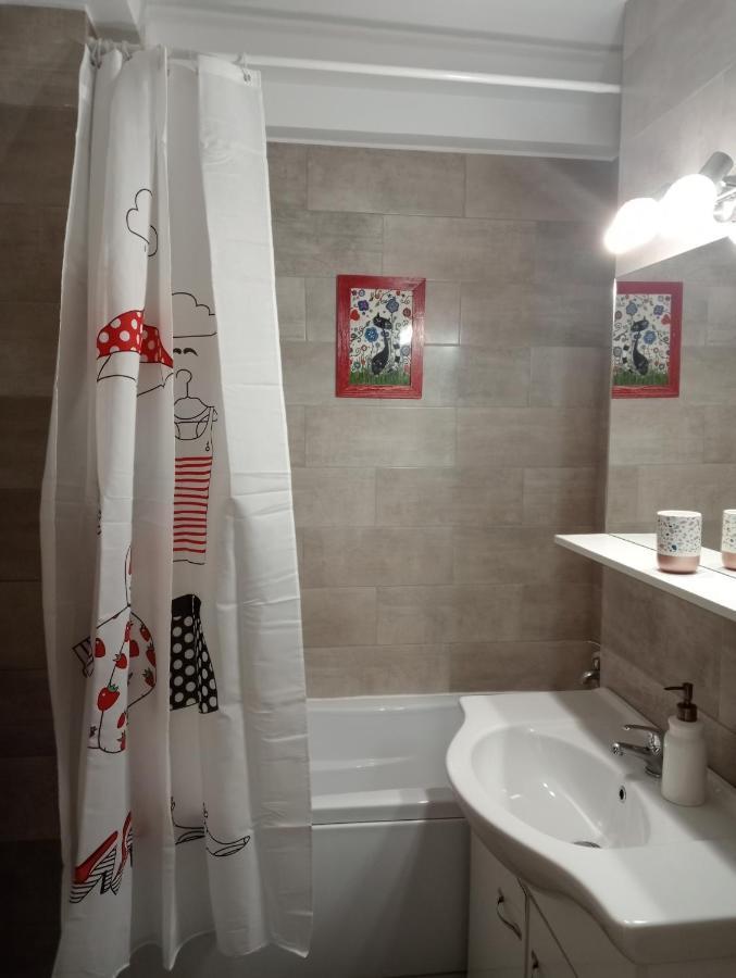 Skyline Central Apartment Тимишоара Екстериор снимка