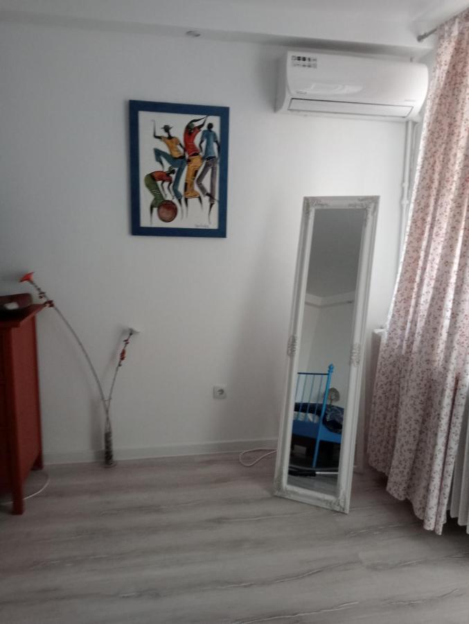 Skyline Central Apartment Тимишоара Екстериор снимка