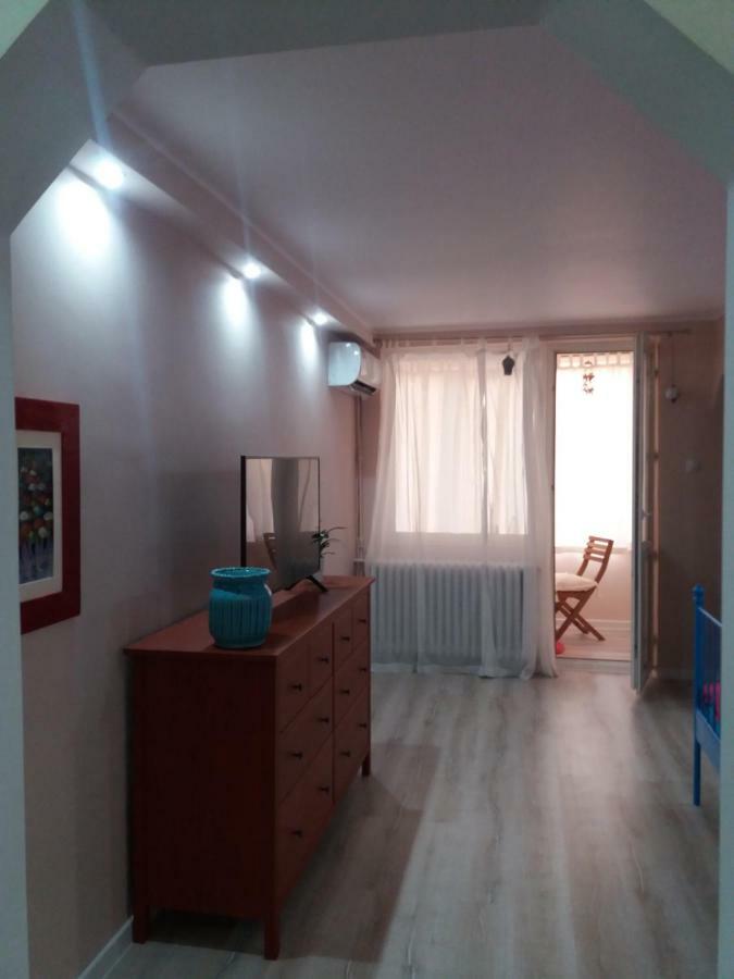 Skyline Central Apartment Тимишоара Екстериор снимка
