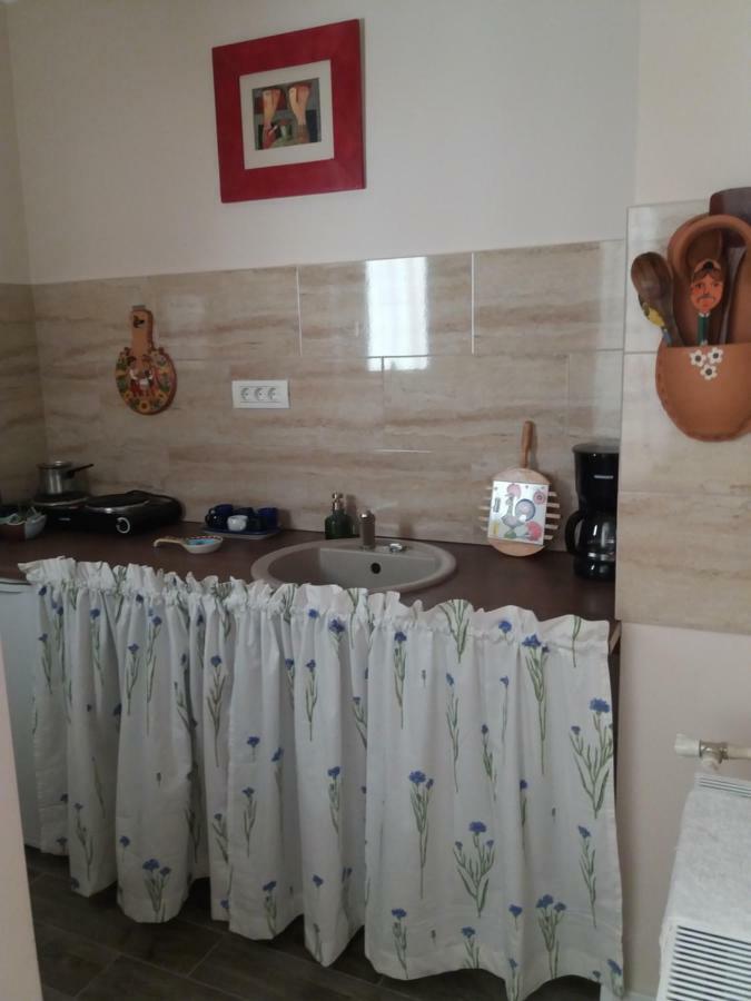 Skyline Central Apartment Тимишоара Екстериор снимка