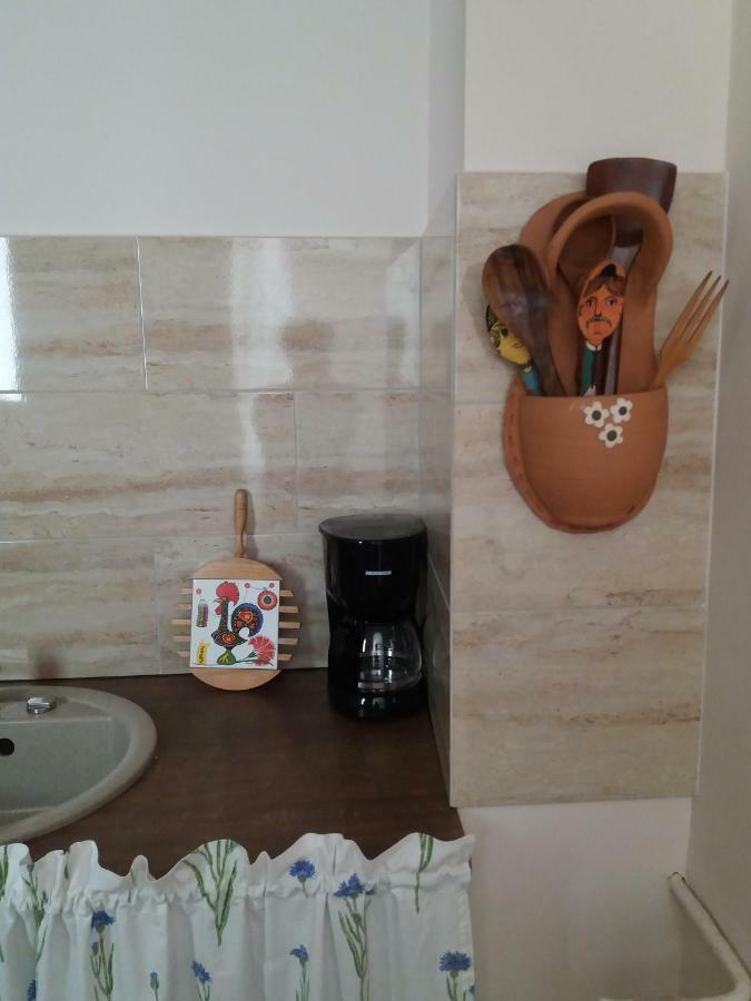 Skyline Central Apartment Тимишоара Екстериор снимка