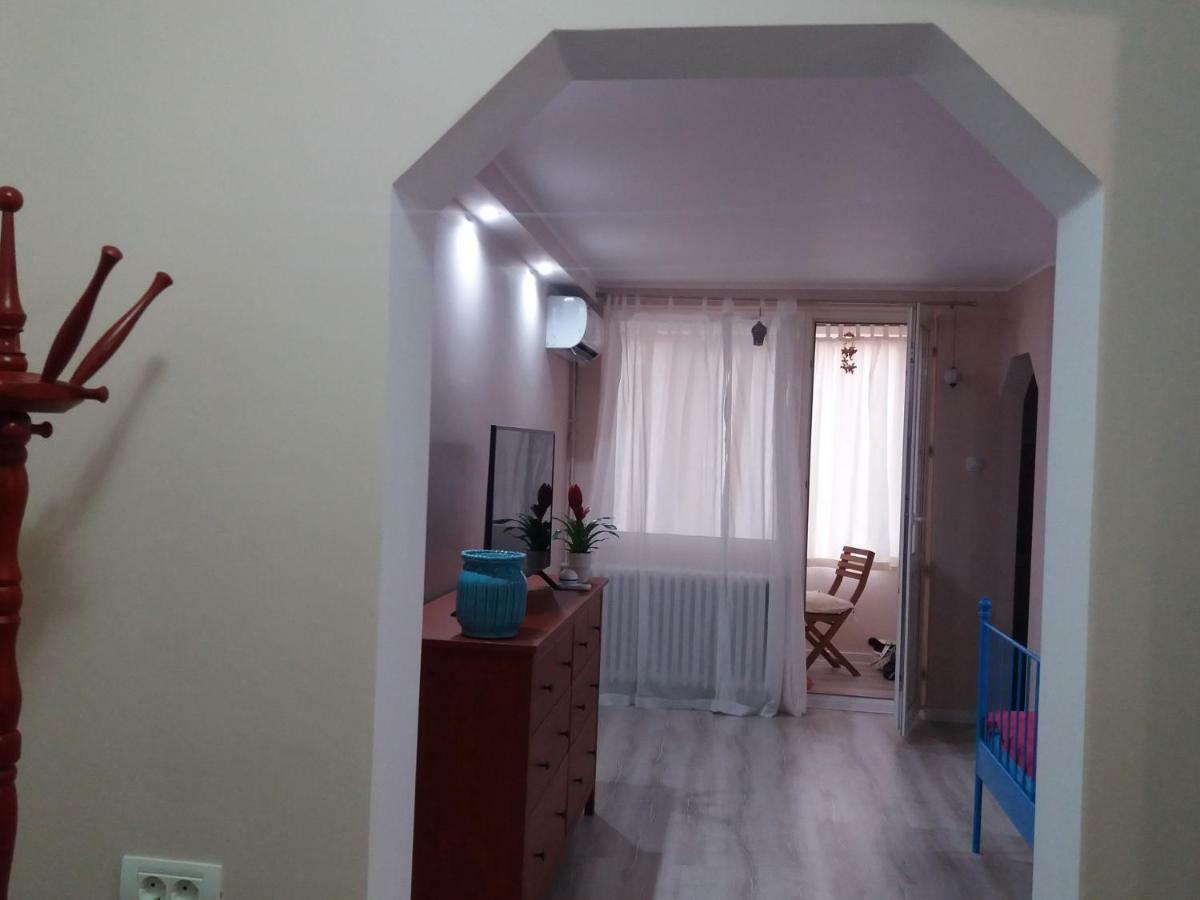 Skyline Central Apartment Тимишоара Екстериор снимка