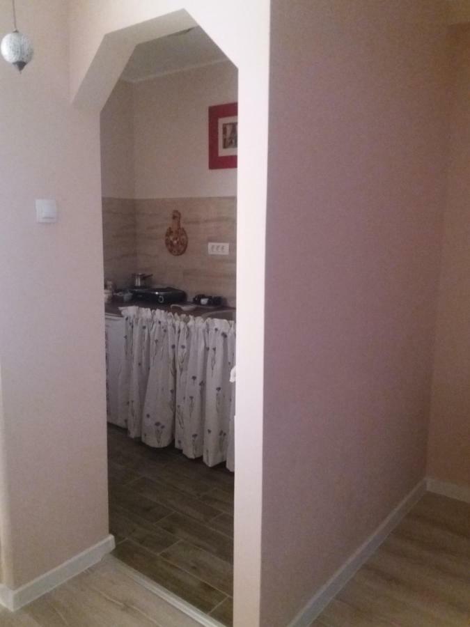 Skyline Central Apartment Тимишоара Екстериор снимка