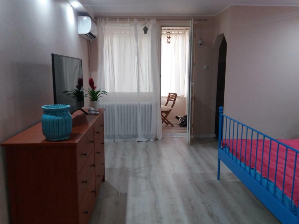 Skyline Central Apartment Тимишоара Екстериор снимка