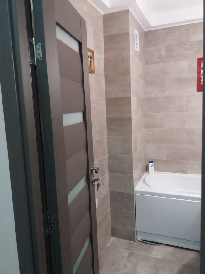 Skyline Central Apartment Тимишоара Екстериор снимка