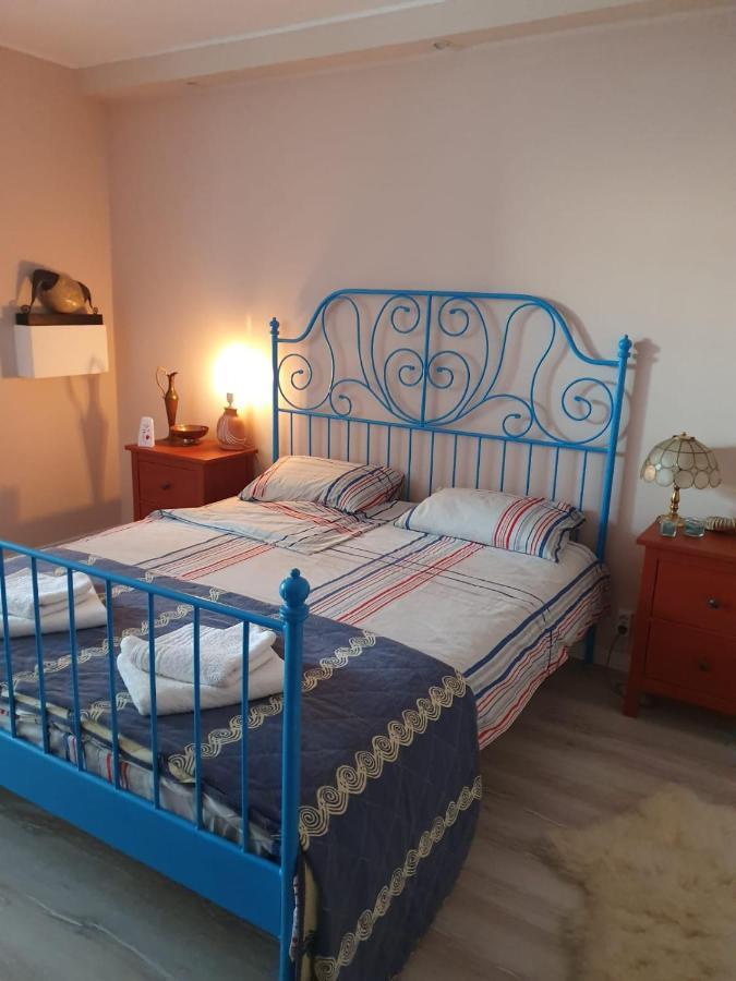 Skyline Central Apartment Тимишоара Екстериор снимка