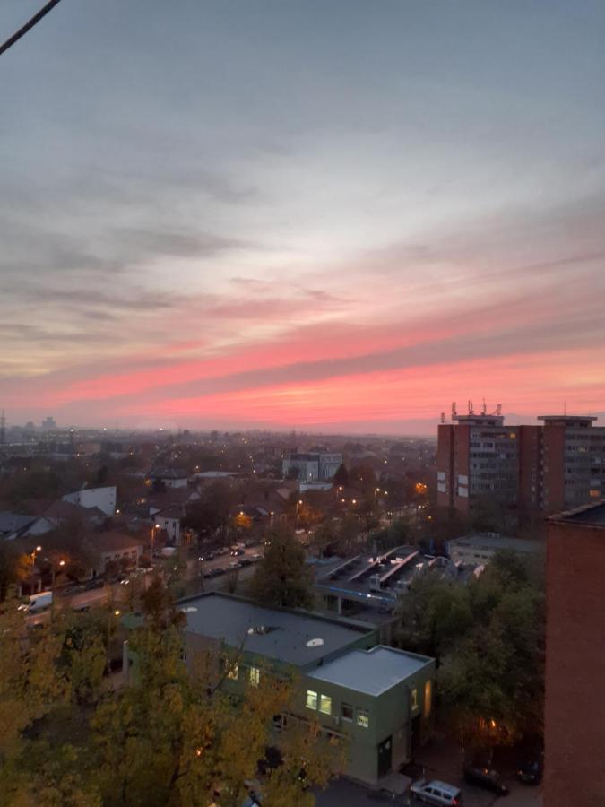 Skyline Central Apartment Тимишоара Екстериор снимка