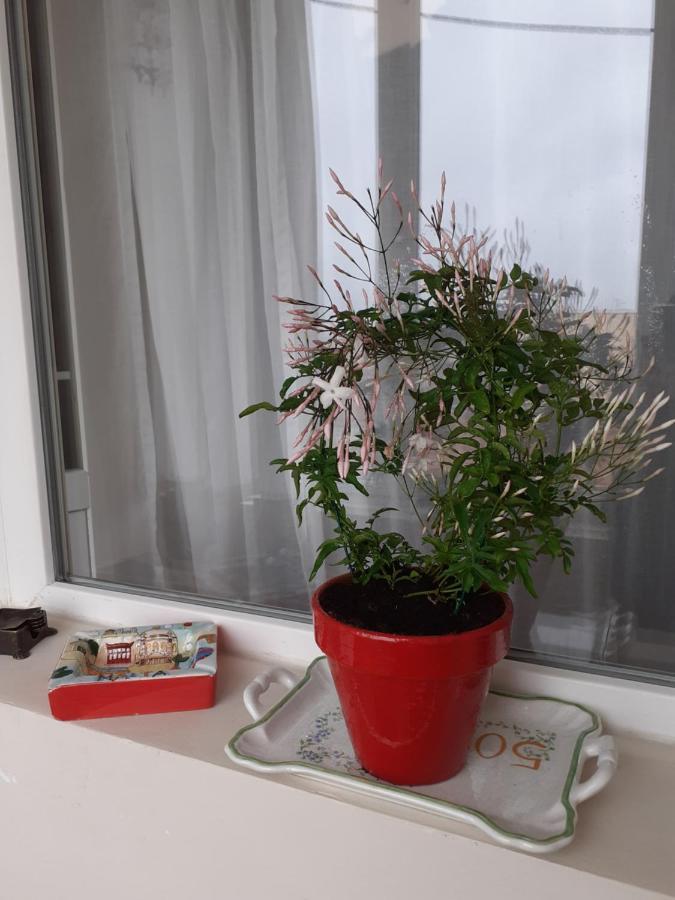 Skyline Central Apartment Тимишоара Екстериор снимка