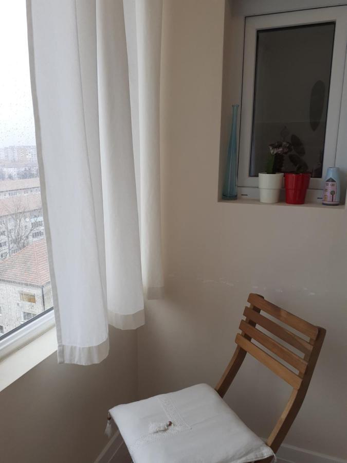 Skyline Central Apartment Тимишоара Екстериор снимка