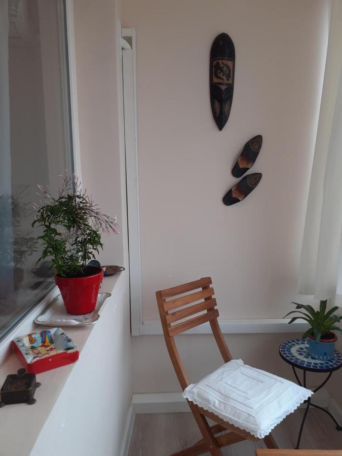 Skyline Central Apartment Тимишоара Екстериор снимка